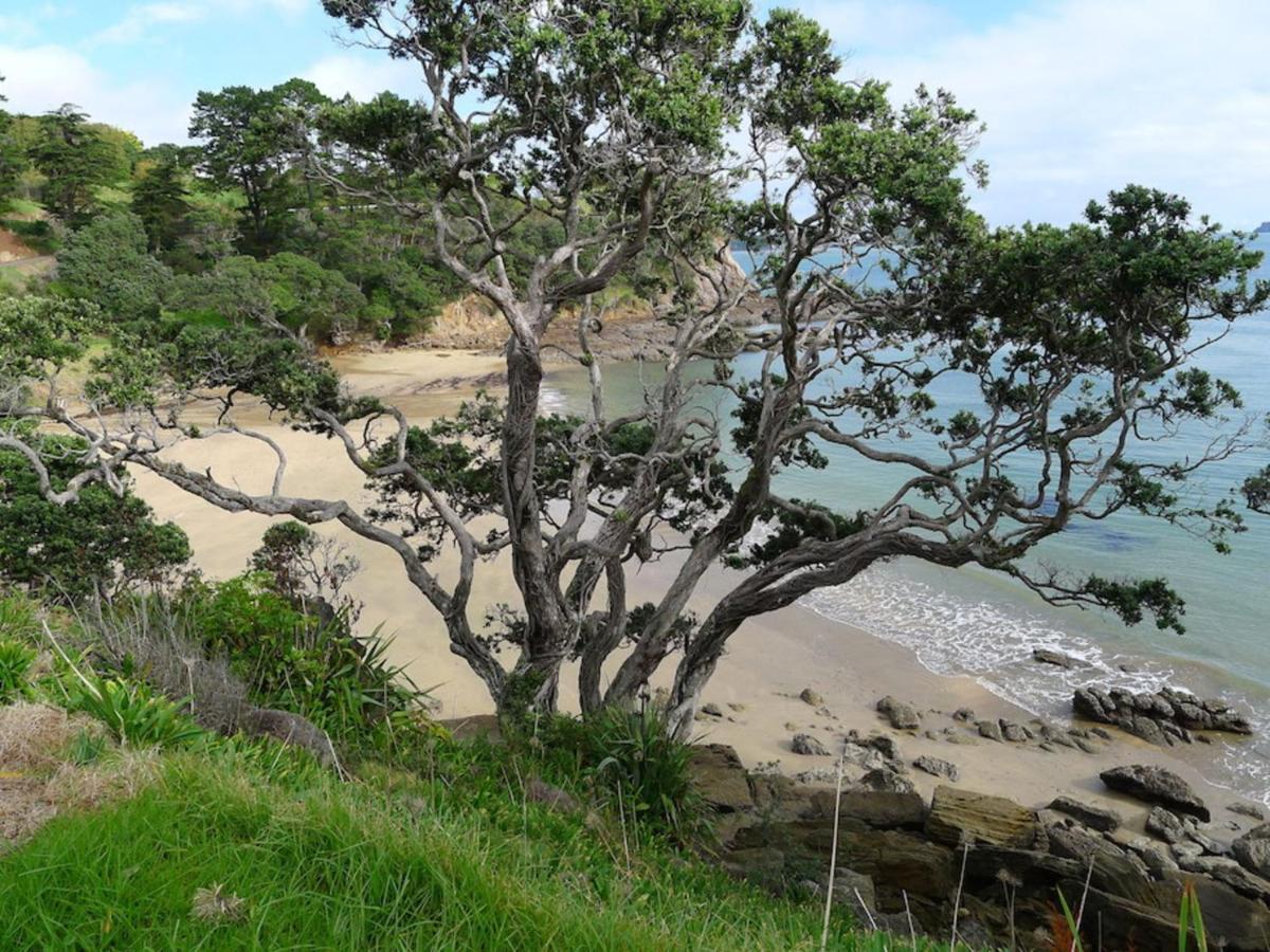 Anglers Lodge Coromandel ภายนอก รูปภาพ